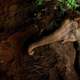 Graceful even in death, this young elephant fell into a deep, open well one night in Palakkad, Kerala. The photographer suspects the elephant emerged from the nearby forest to feast on fruiting jackfruit trees in the village. Open wells are a serious but little-recognised threat to wild animals, including Gujarat’s famed Asiatic lions, a few of which fall to their deaths every year.